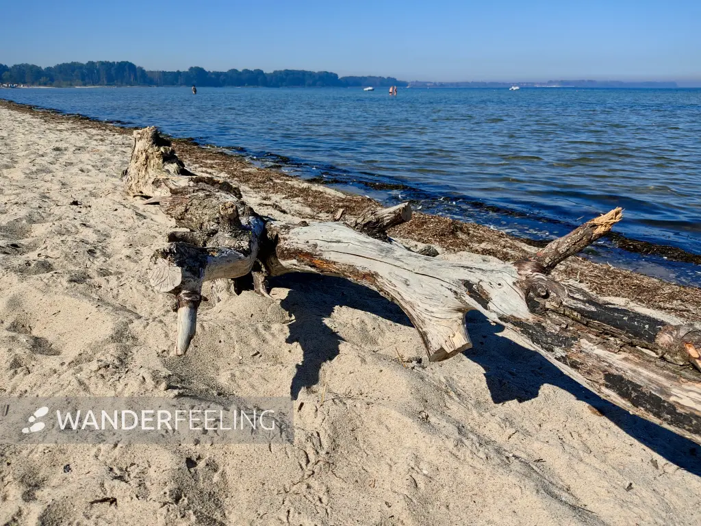 202309060-03 - Wismarer Bucht bei Zierow, Mecklenburgische Ostseeküste, Mecklenburg-Vorpommern, Deutschland
