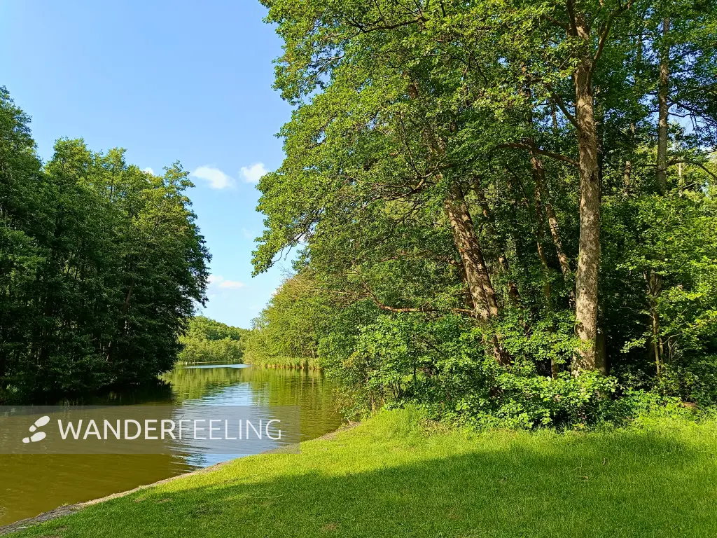 202506110-23 - Woblitz bei Pian, Ruppiner Seenland, Brandenburg, Deutschland