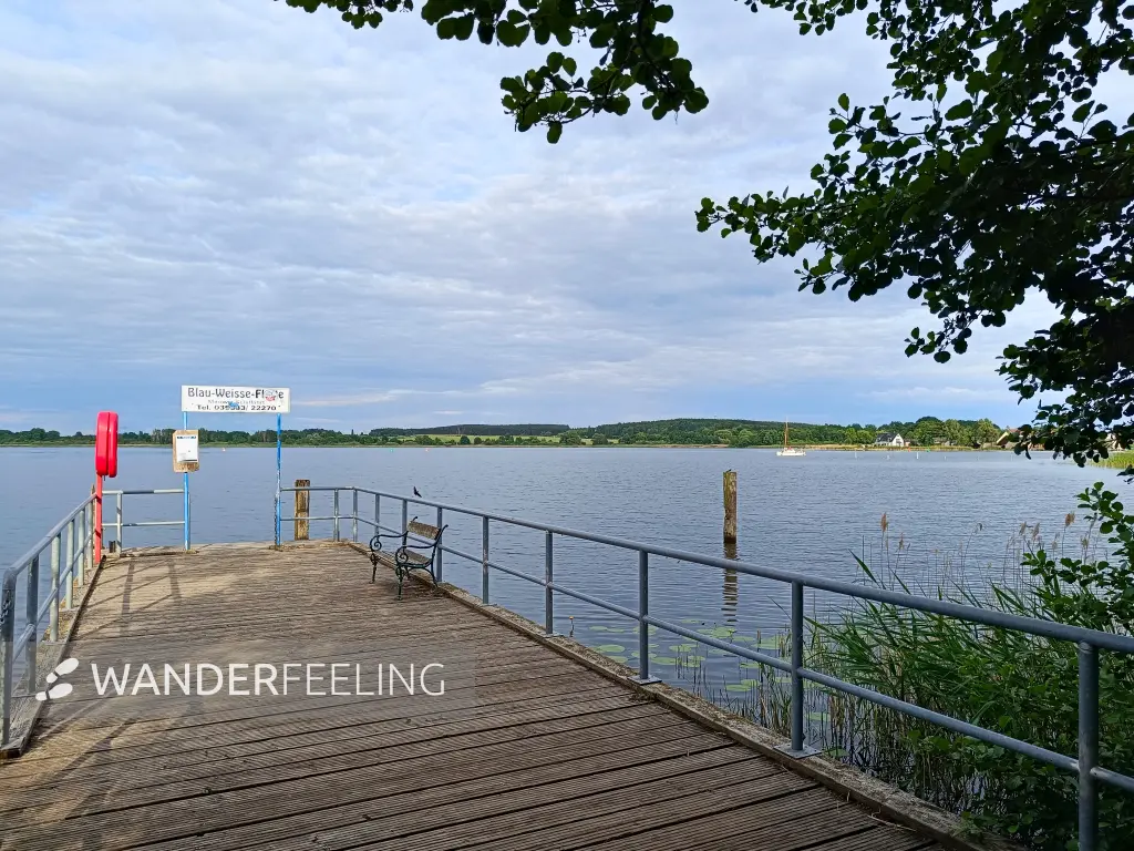 202606060-46 - Woblitzsee bei Wesenberg, Mecklenburgische Seenplatte, Mecklenburg-Vorpommern, Deutschland
