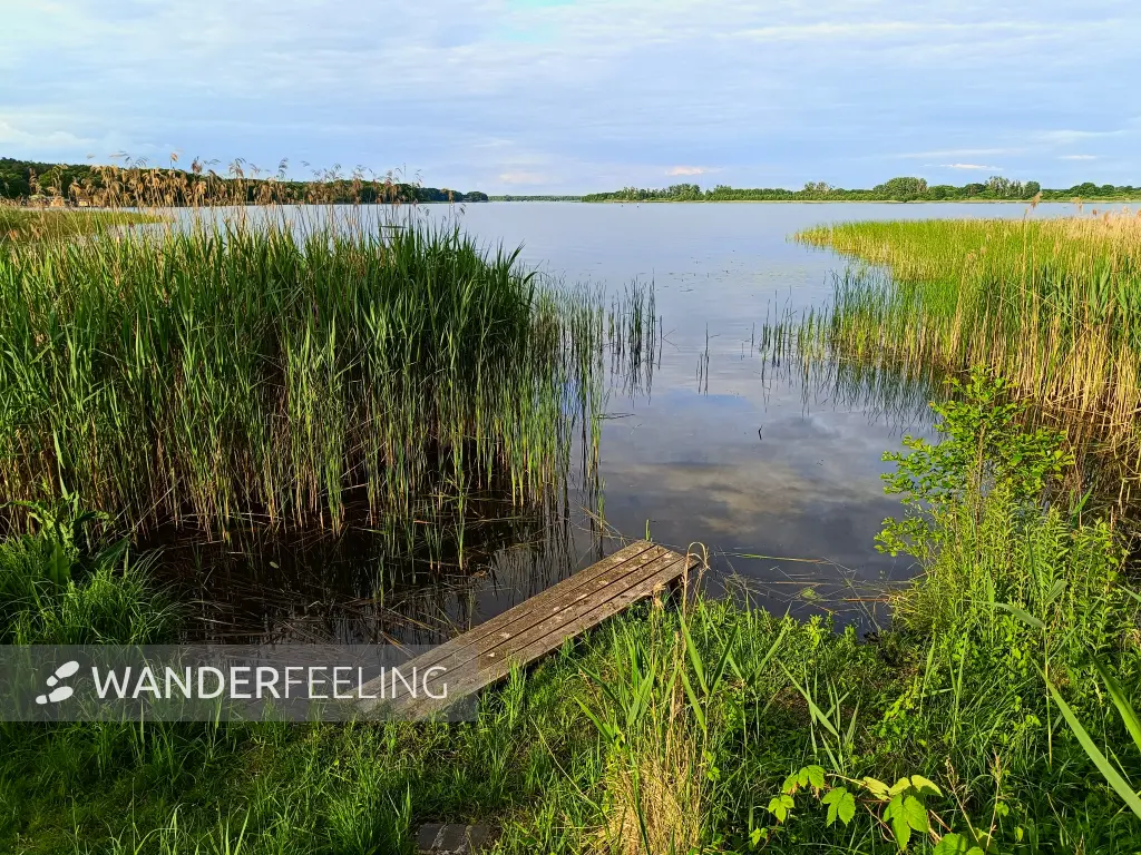 202606060-50 - Woblitzsee bei Wesenberg, Mecklenburgische Seenplatte, Mecklenburg-Vorpommern, Deutschland