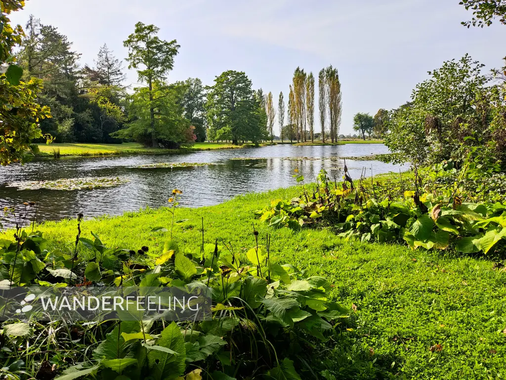 202310110-10 - Wörlitzer See im Wörlitzer Park bei Wörlitz, Anhalt-Dessau-Wittenberg, Sachen-Anhalt, Deutschland