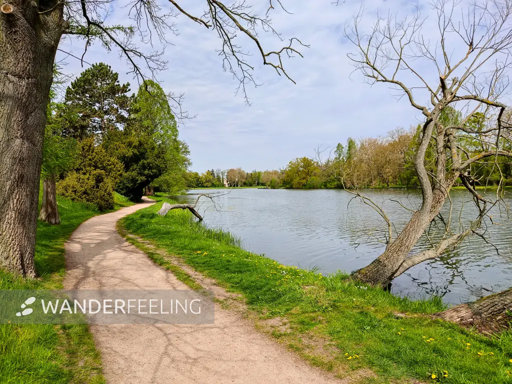 202305050-13 - Wörlitzer See im Wörlitzer Park bei Wörlitz, Anhalt-Dessau-Wittenberg, Sachsen-Anhalt, Deutschland
