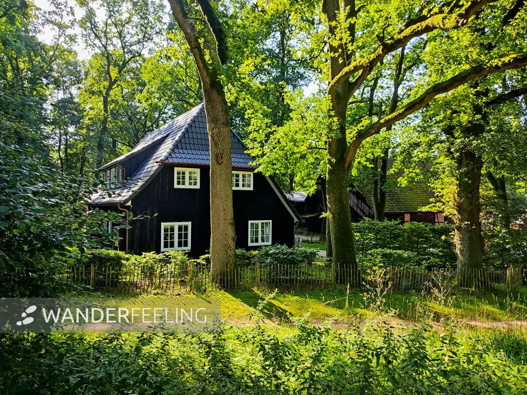 202308210-03 - Wohnhäuser in Overhaverbeck, Lüneburger Heide, Niedersachsen, Deutschland