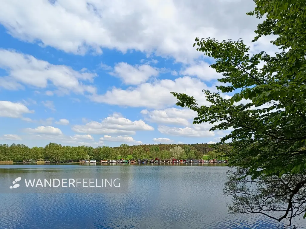 202605090-18 - Wolletzsee, Uckermark, Brandenburg, Deutschland
