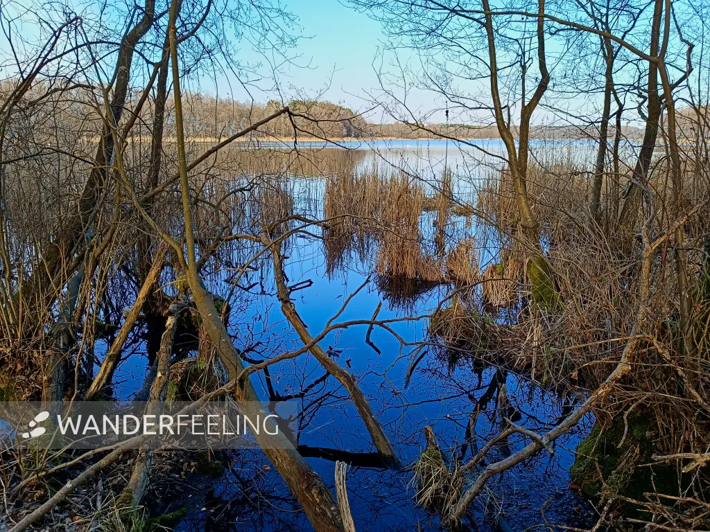 202603230-25 - Wolzensee bei Rathenow, Havelland, Brandenburg, Deutschland