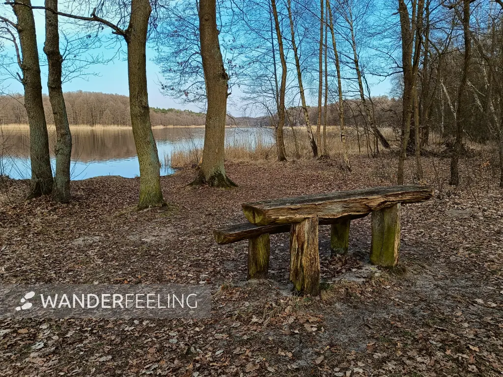 202603230-26 - Wolzensee bei Rathenow, Havelland, Brandenburg, Deutschland