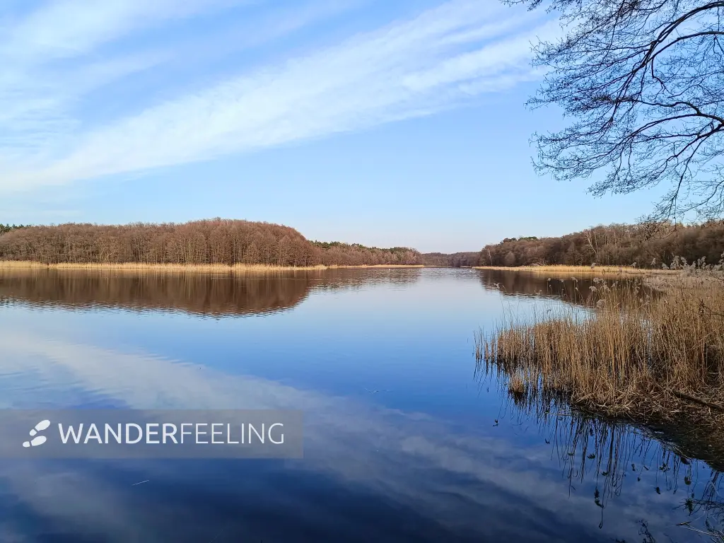 202603230-27 - Wolzensee bei Rathenow, Havelland, Brandenburg, Deutschland