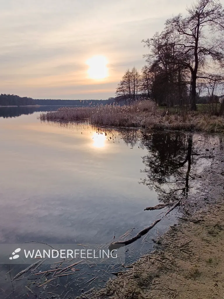 202603230-29 - Wolzensee bei Rathenow, Havelland, Brandenburg, Deutschland