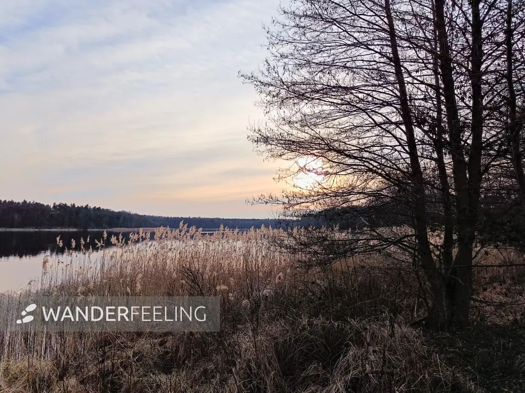 202603230-30 - Wolzensee bei Rathenow, Havelland, Brandenburg, Deutschland