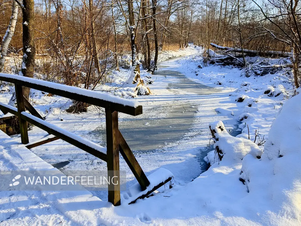 202401190-08 - Wotschofska-Weg bei Lübbenau, Spreewald, Brandenburg, Deutschland
