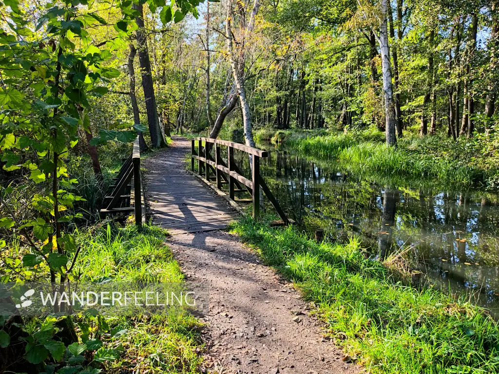 202310230-14 - Wotschofskaweg bei Lübbenau, Spreewald, Brandenburg, Deutschland
