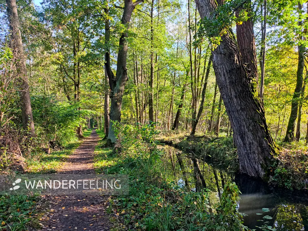202310230-18 - Wotschofskaweg bei Lübbenau, Spreewald, Brandenburg, Deutschland