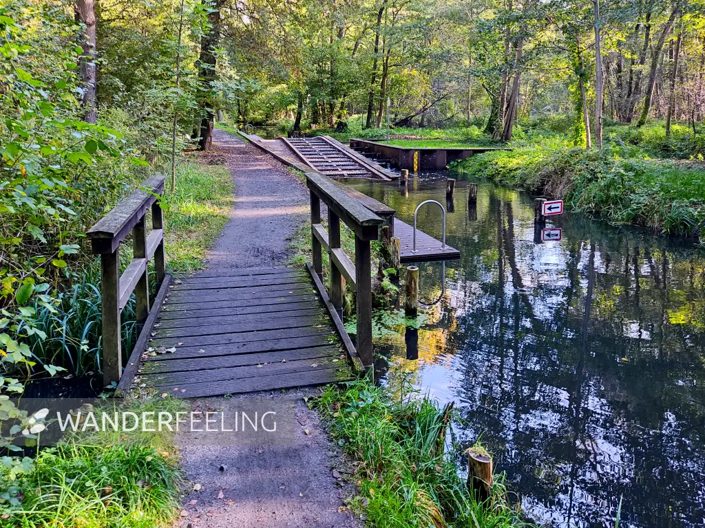 202310230-19 - Wotschofskaweg bei Lübbenau, Spreewald, Brandenburg, Deutschland