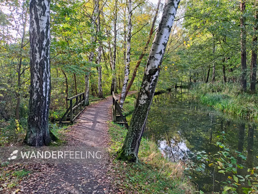 202310230-25 - Wotschofskaweg bei Lübbenau, Spreewald, Brandenburg, Deutschland