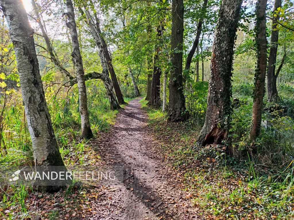 202310230-26 - Wotschofskaweg bei Lübbenau, Spreewald, Brandenburg, Deutschland
