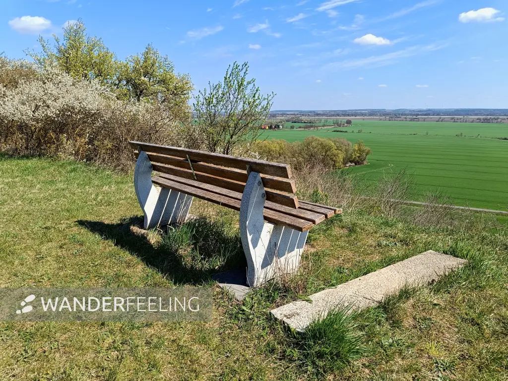 202604150-19 - Wuhdener Bank bei Wuhden, Seenland Oder-Spree, Brandenburg, Deutschland