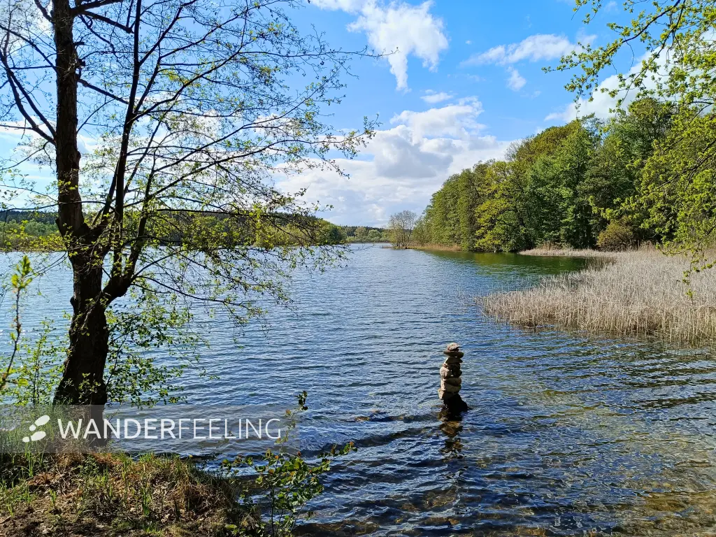 202605040-22 - Wustrowsee bei Sternberg, Mecklenburgische Seenplatte, Mecklenburg-Vorpommern, Deutschland