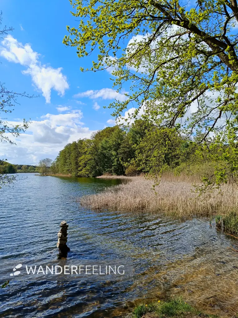 202605040-23 - Wustrowsee bei Sternberg, Mecklenburgische Seenplatte, Mecklenburg-Vorpommern, Deutschland
