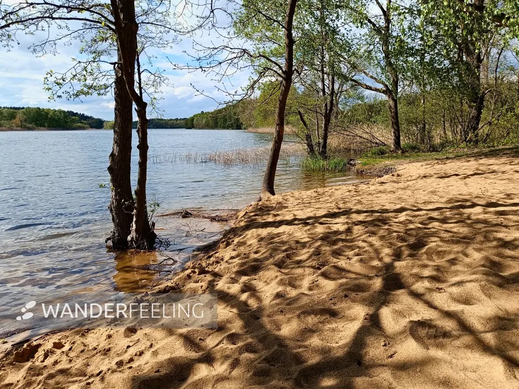 202605040-25 - Wustrowsee bei Sternberg, Mecklenburgische Seenplatte, Mecklenburg-Vorpommern, Deutschland