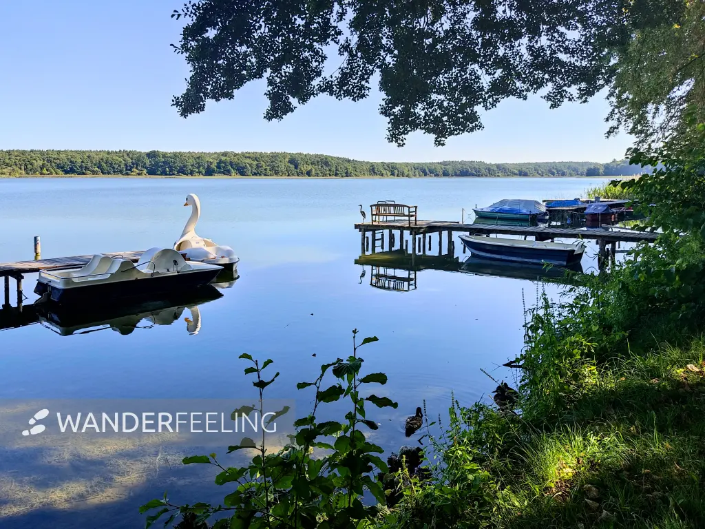 202309040-03 - Wutzsee bei Lindow, Ruppiner Seenland, Brandenburg, Deutschland
