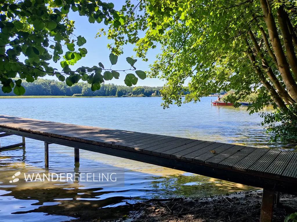 202309040-15 - Wutzsee bei Lindow, Ruppiner Seenland, Brandenburg, Deutschland
