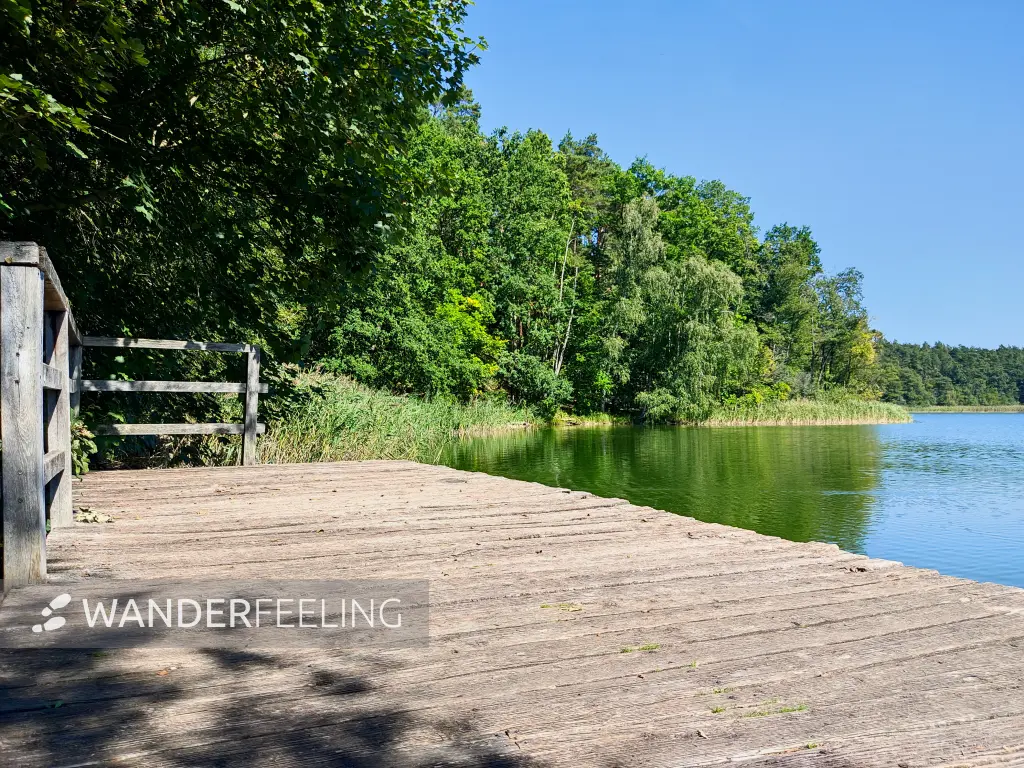 202309040-17 - Wutzsee bei Lindow, Ruppiner Seenland, Brandenburg, Deutschland