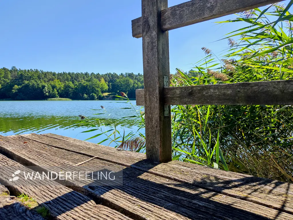 202309040-18 - Wutzsee bei Lindow, Ruppiner Seenland, Brandenburg, Deutschland