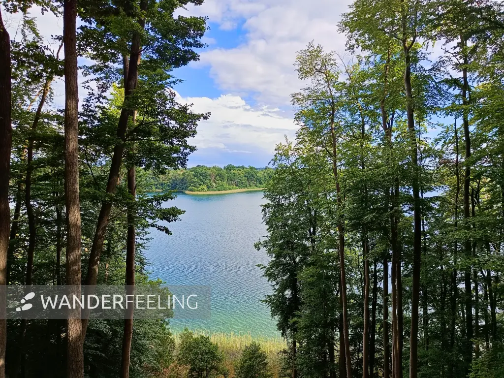 202606090-08 - Zansen-Blick im Hullerbusch bei Feldberg, Mecklenburgische Seenplatte, Mecklenburg-Vorpommern, Deutschland