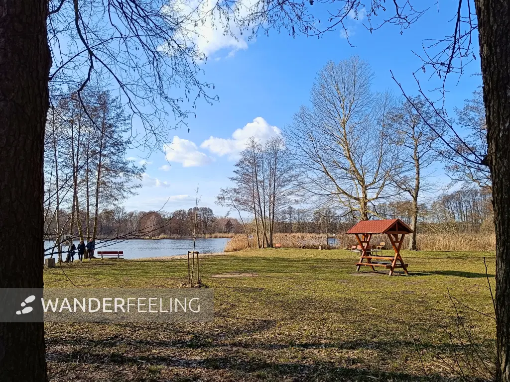 202603120-16 - Zernausee bei Mützel, Elbe-Börde-Heide, Sachsen-Anhalt, Deutschland