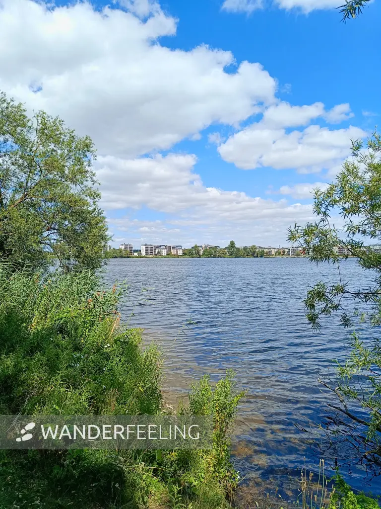 202507030-07 - Ziegelsee in Schwerin, Mecklenburgische Seenplatte, Mecklenburg-Vorpommern, Deutschland