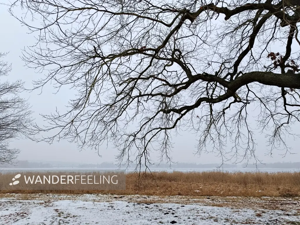 202602070-09 - Zugefrorene Havel am Schlosspark Sacrow, Potsdam, Brandenburg, Deutschland