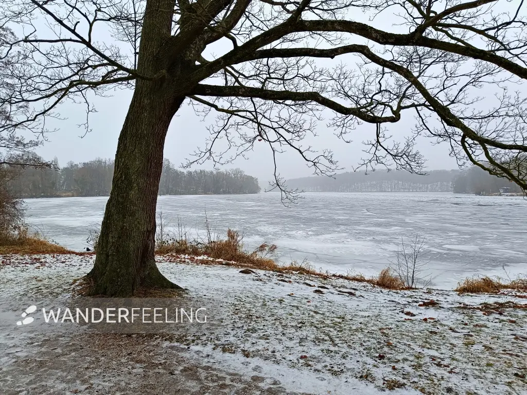 202602070-17 - Zugefrorene Havel am Schlosspark Sacrow, Potsdam, Brandenburg, Deutschland