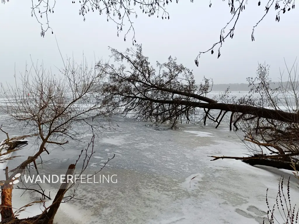 202602070-22 - Zugefrorene Havel bei Sacrow, Potsdam, Brandenburg, Deutschland