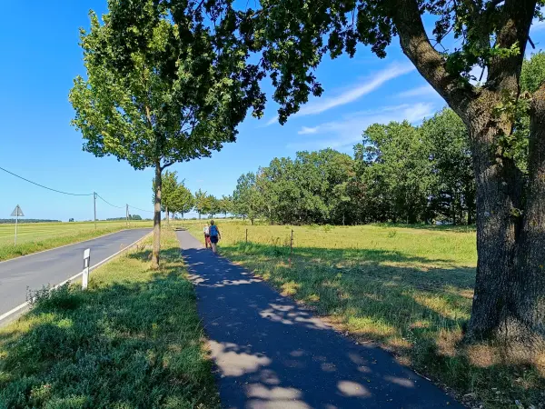 202508160-24 - Allee bei Röddelin, Uckermark, Brandenburg, Deutschland
