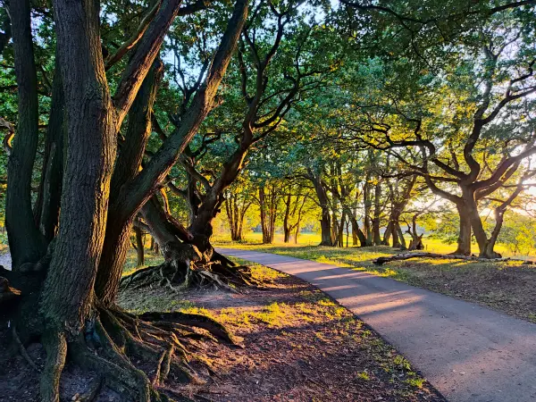 202309241-23 - Allee in der Boberger Niederung, Hamburg, Deutschland