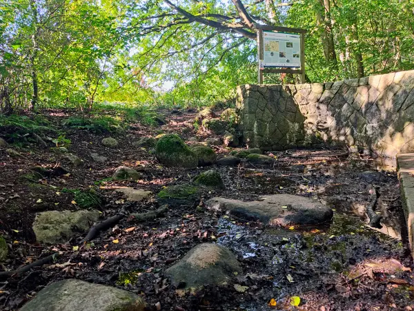 202309240-23 - Alsterquelle in der Oberalsterniederung bei Rhen, Schleswig-Holstein, Deutschland