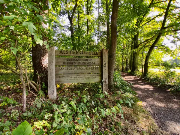 202309240-24 - Alsterquelle in der Oberalsterniederung bei Rhen, Schleswig-Holstein, Deutschland