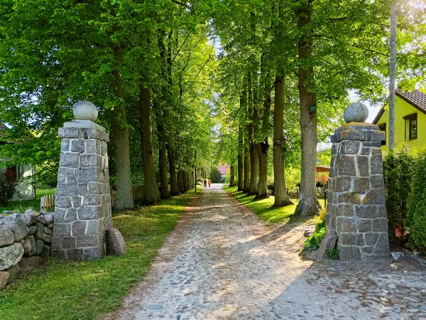 202505130-21 - Alte Allee in Pieversdorf, Mecklenburgische Seenplatte, Mecklenburg-Vorpommern, Deutschland