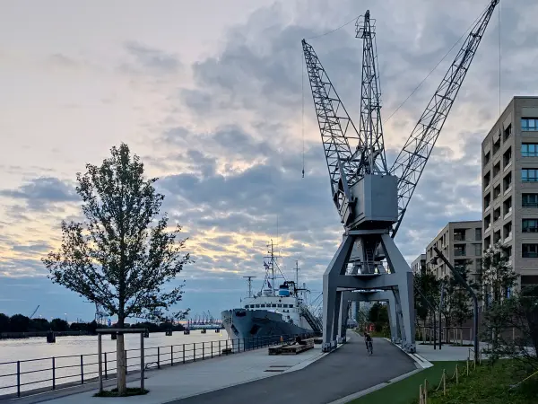 202309220-48 - Alte Kräne in der HafenCity, Hamburg, Deutschland