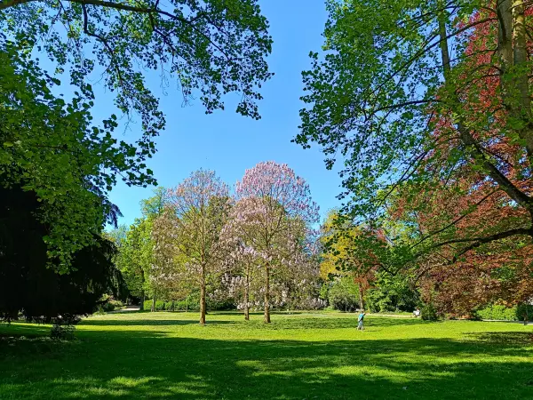 202604231-04 - Alter Stadtgarten in Neuss, Niederrhein, Nordrhein-Westfalen, Deutschland