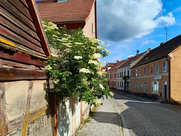 202606060-32 - Altstadt von Wesenberg, Mecklenburgische Seenplatte, Mecklenburg-Vorpommern, Deutschland