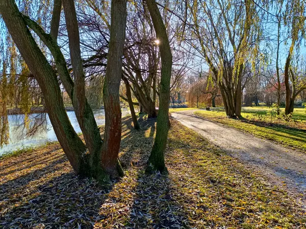 202511210-20 - August-Bebel-Park in Stendal, Altmark, Sachsen-Anhalt, Deutschland