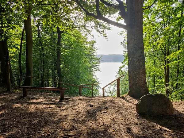 202309110-28 - Augustablick am Peetschsee bei Neuglobsow, Ruppiner Seenland, Brandenburg, Deutschland