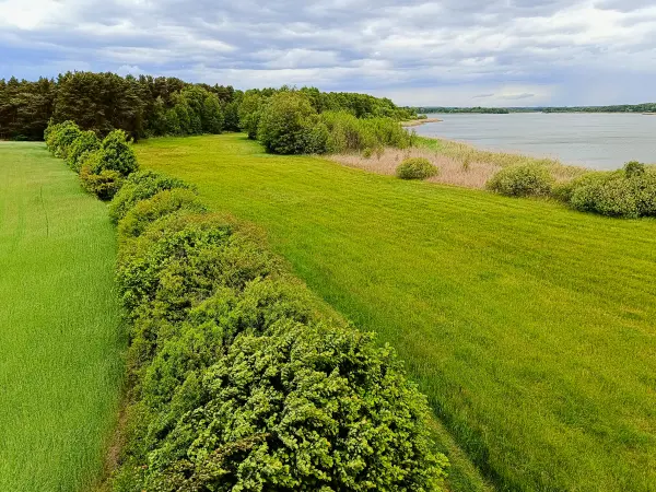 202505170-26 - Ausblick auf den Groß Schauener See, Seenland Oder-Spree, Brandenburg, Deutschland