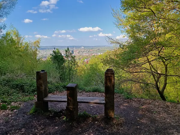 202604210-25 - Ausblick im Stadtwald Hagen, Ruhrgebiet, Nordrhein-Westfalen, Deutschland