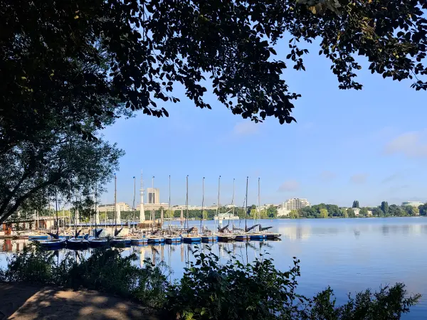 202308200-02 - Außenalster, Hamburg, Deutschland