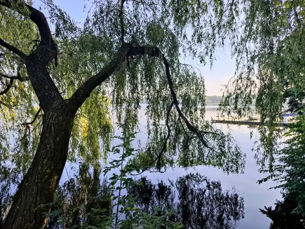 202308200-05 - Außenalster, Hamburg, Deutschland
