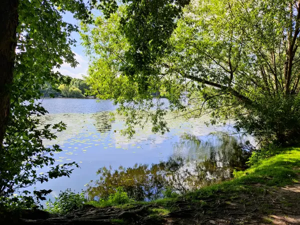 202308200-44 - Außenalster, Hamburg, Deutschland