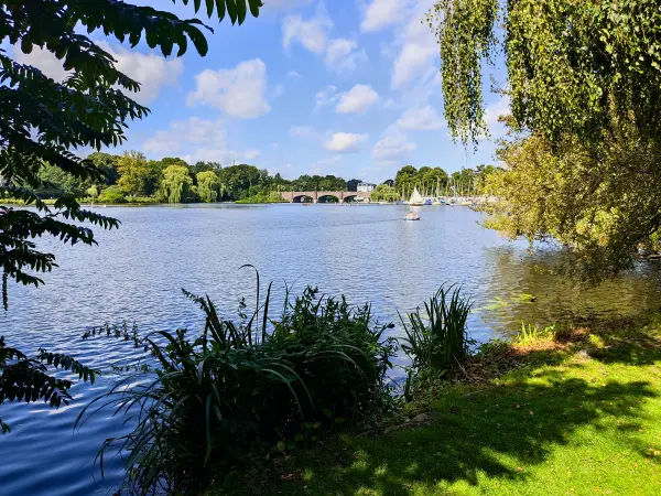 202308200-46 - Außenalster, Hamburg, Deutschland