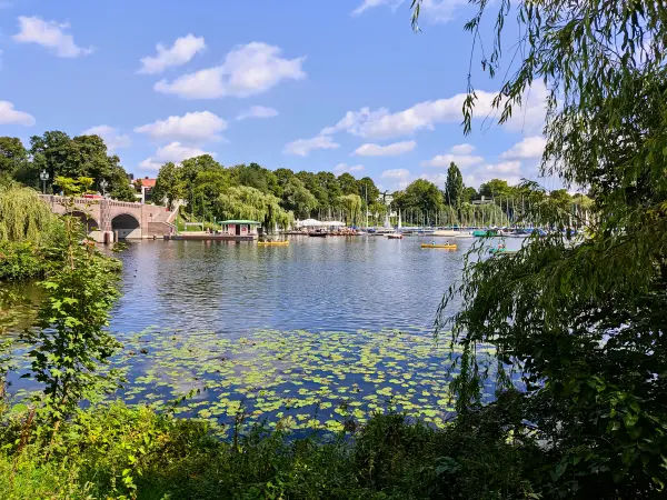 202308200-47 - Außenalster, Hamburg, Deutschland
